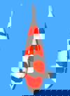 Koi